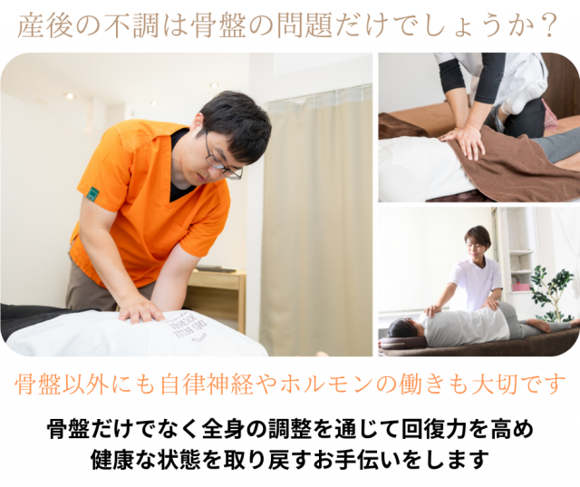 産後の不調は骨盤の問題だけでしょうか?骨盤以外にも自律神経やホルモンの働きも大切です。骨盤だけでなく全身の調整を通じて回復力を高め健康な状態を取り戻すお手伝いをします