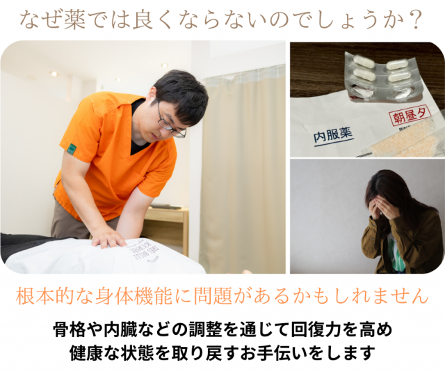 なぜ薬では良くならないのでしょうか?根本的な身体機能に問題があるかもしれません。全身の調整を通じて回復力を高め健康な状態を取り戻すお手伝いをします